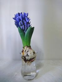 Close-up of flower vase on table