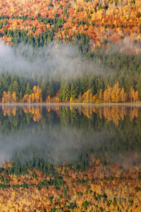 Scenic view of lake during autumn