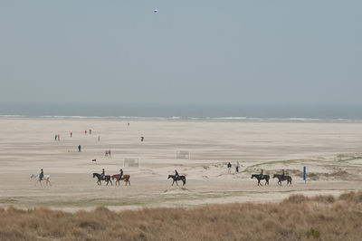 The german island of borkum