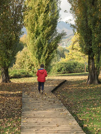 Rear view of woman walking on footpath amidst trees