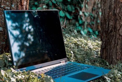 Close-up of laptop on tree
