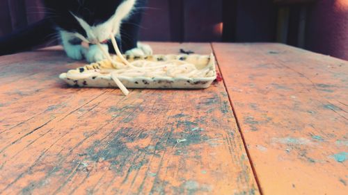 Close-up of crab on table