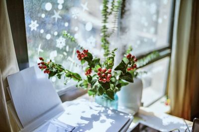 Close-up of potted plant on table at home