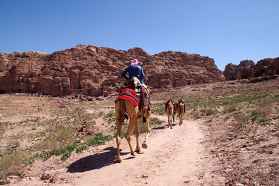 Rear view of people riding horse