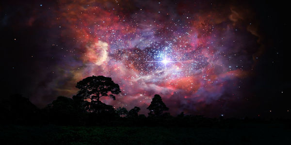 Firework display against sky at night