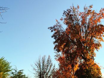 clear sky