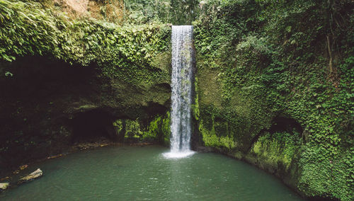 Waterfall in forest