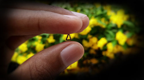 Close-up of hand holding small