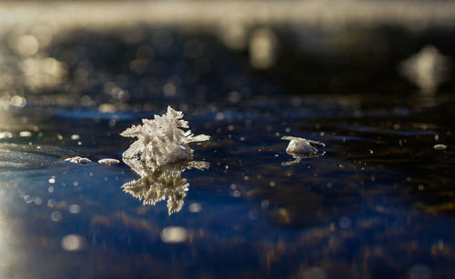 reflection
