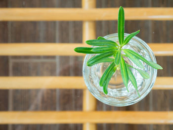 Close-up of drink in glass on table