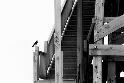 Low angle view of seagulls on building against sky