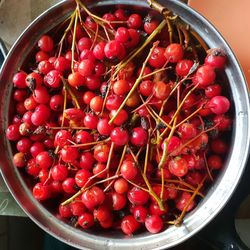 High angle view of cherries in bowl