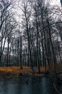 Man standing by bare trees in forest