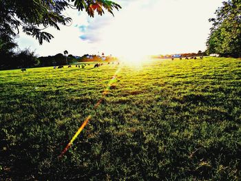 Scenic view of field against sky