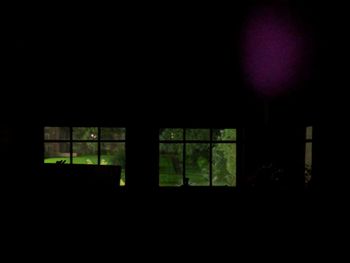 Silhouette plants seen through glass window of building