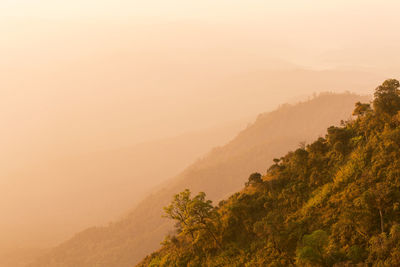 Scenic view of tree mountain against sky during sunset