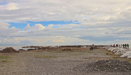 View of birds on field against sky