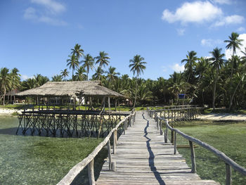 Gazebo on pier amidst palm trees against sky