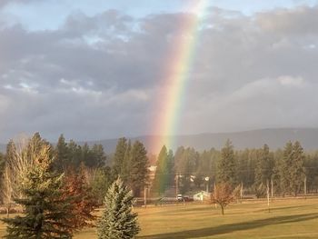 Rainbow over trees on field against sky