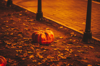 High angle view of pumpkin on street