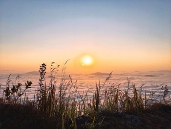 Scenic view of sea against sky during sunset