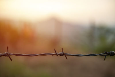 Close-up of barbed wire fence during sunset