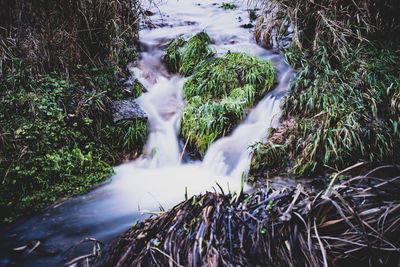 Close-up of waterfall in forest