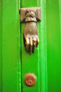 Close-up of lizard on metal door