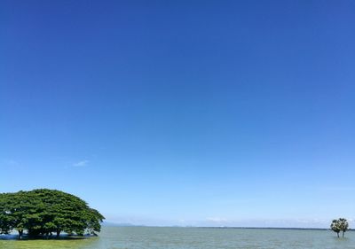 Scenic view of sea against clear blue sky