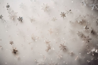 Close-up of christmas decorations