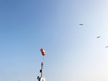 Low angle view of bird flying against clear blue sky