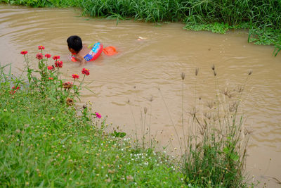 High angle view of girl by plants on land