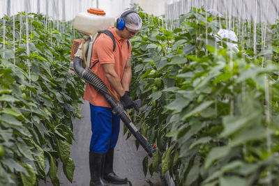 Young man working in greenhouse spraying fertilizer on plants