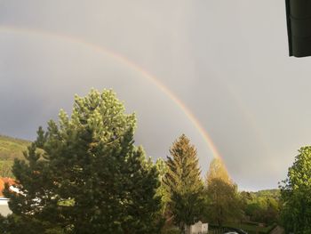 Low angle view of rainbow over trees against sky