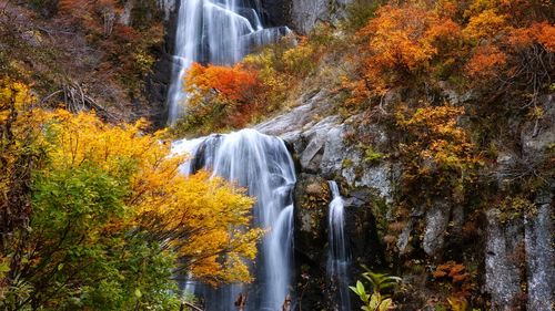 Waterfall in forest during autumn