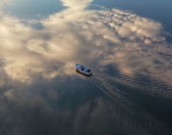 High angle view of a bird in lake