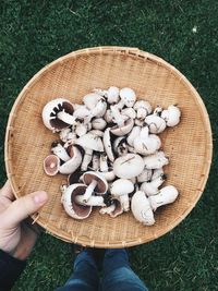 Cropped hand of person holding mushrooms in basket