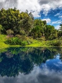 Reflection of trees in lake against sky