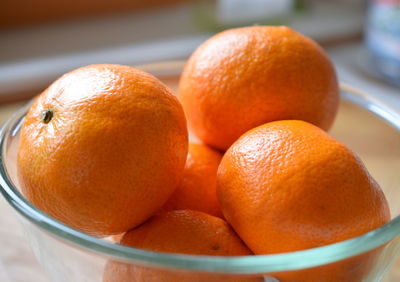 Close-up of orange fruits in bowl