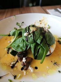 Close-up of salad in plate