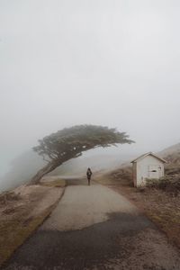 Rear view of man walking on road against sky