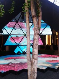 Multi colored umbrellas hanging on table by tree