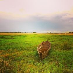 Scenic view of grassy field against sky