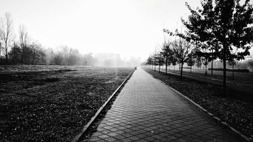 View of trees against clear sky