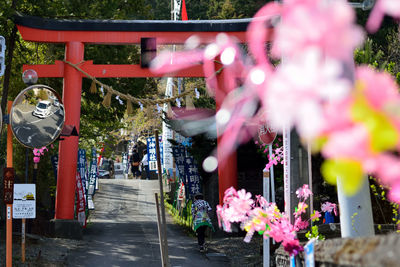Torii gate at entrance of shrine