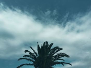 Low angle view of palm trees against cloudy sky