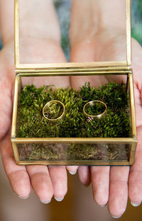 High angle view of hand holding plants