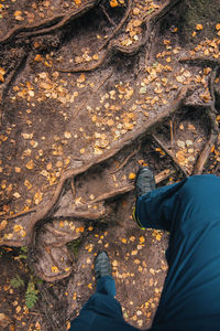 Low section of man standing on autumn leaves