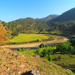 Scenic view of agricultural field against clear sky