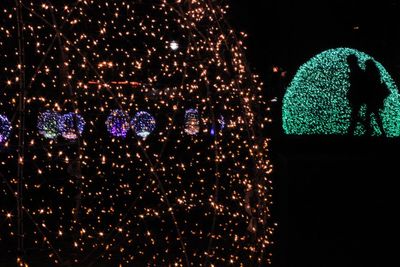 Close-up of illuminated christmas lights at night